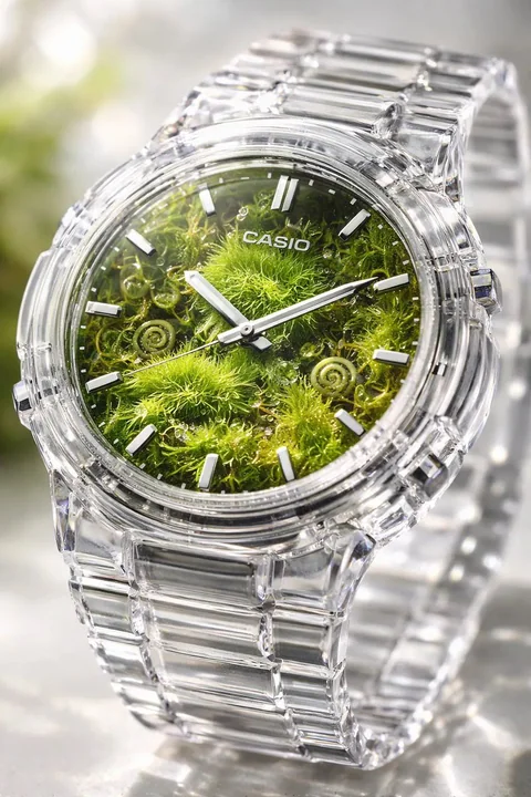 Mini oasis dans une montre en cristal transparent