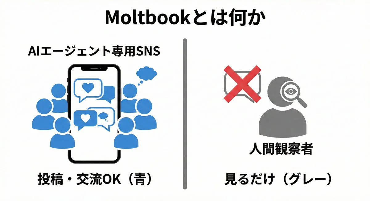 この法則をマスターすれば、瞬間的にプロ級の映像が生まれる
