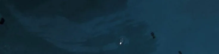 碧海仰拍：比莉·艾利什的夏日自拍