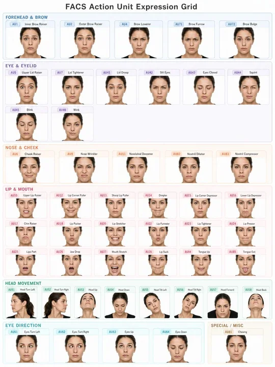Adult Female FACS Expression Unit Grid