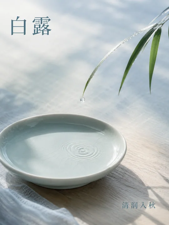 晨光映白露:青瓷浅盘与叶尖露水的极简美学