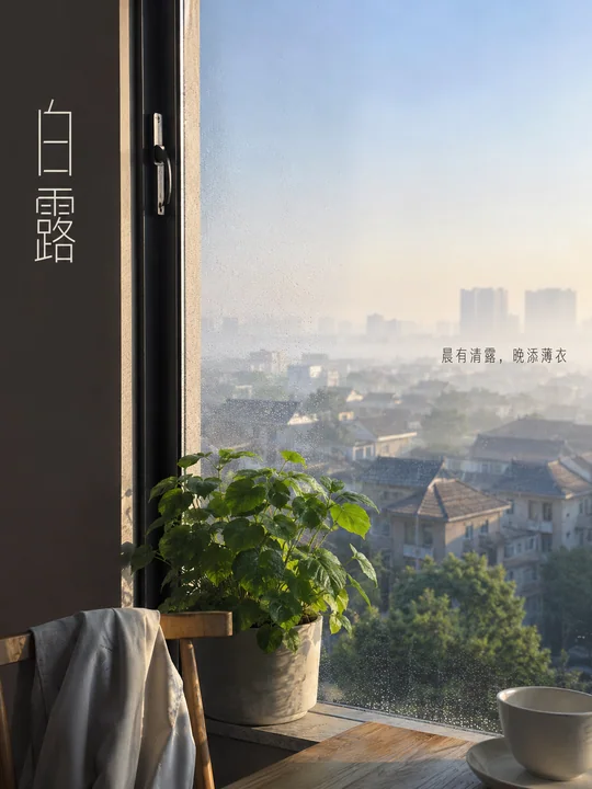晨曦微凉白露至窗外城市远景海报