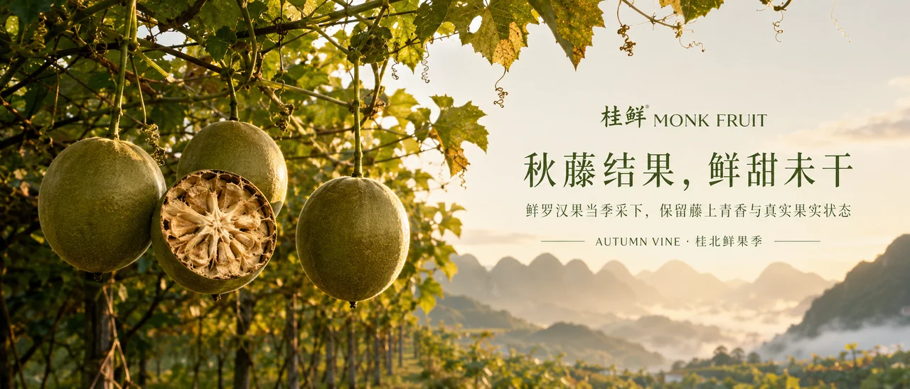 桂北秋色罗汉果：藤间鲜甜的品牌视觉大片