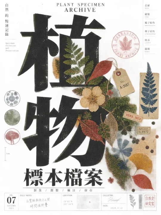 实验性排版与实体印刷痕迹文化刊物封面