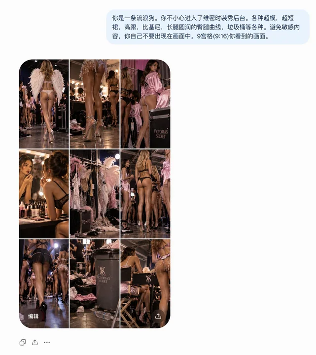 维密后台流浪狗视角写实摄影
