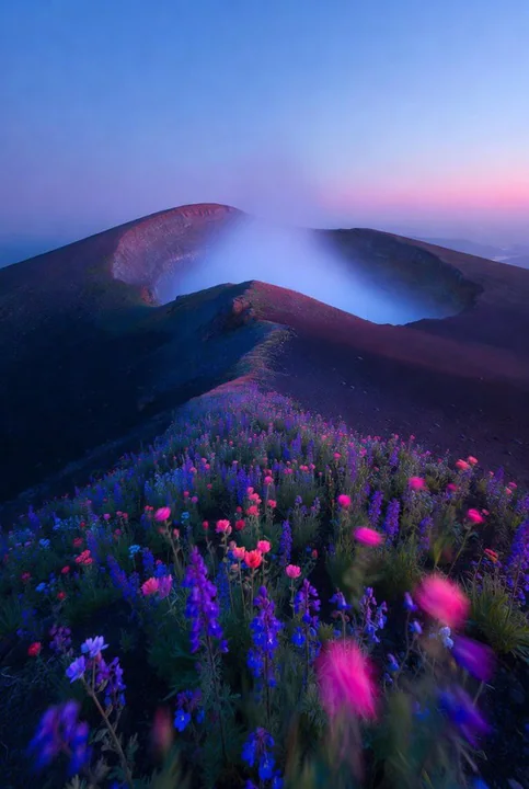 黄金時刻の夢幻的なネオンと花畑が彩る活火山