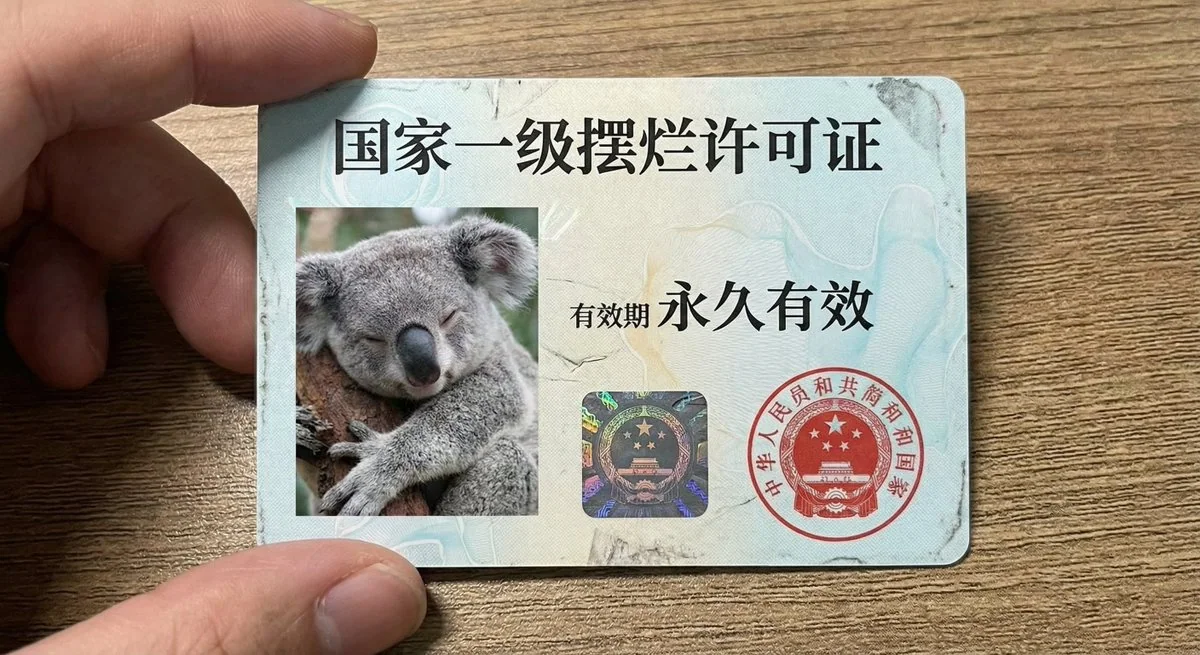 国家レベルの「放置許可証」