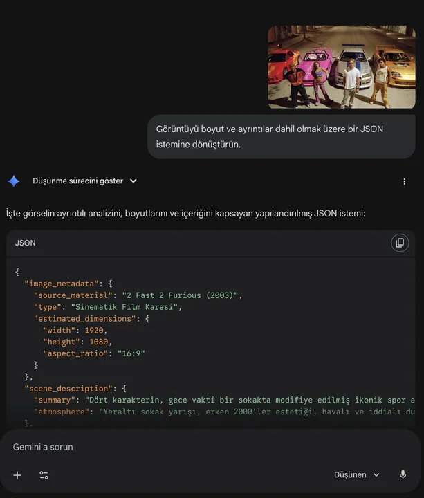 Reverse image JSON prompt