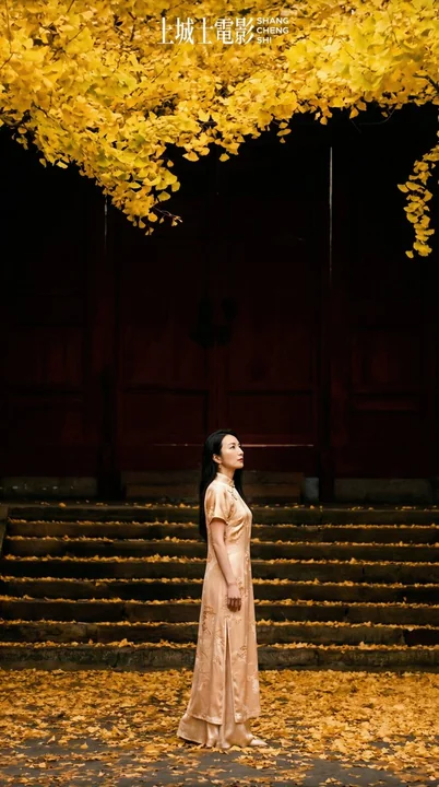 新中式银杏古建光影里的东方美学大片