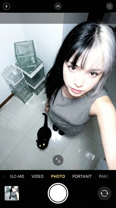 Jeune fille élégante interagissant avec un chat noir en vue aérienne