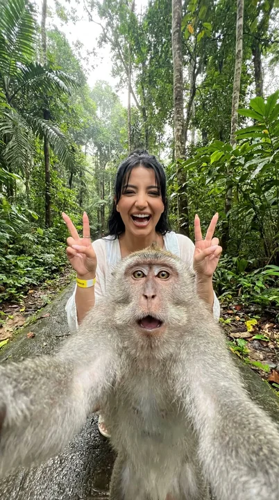 A tropical jungle macaque comically steals the spotlight in a wide-angle selfie.
